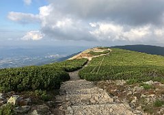 920_iP_190822_IMG_4639