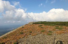 926_iP_190822_IMG_4644