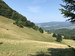 206_iP_190828_IMG_4680