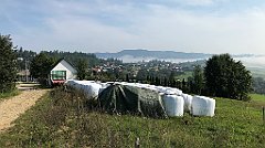 019_iP_190829_IMG_4697