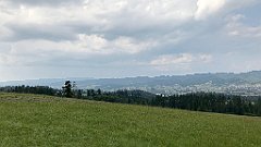 341_iP_190829_IMG_4740