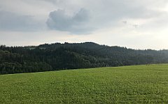 488_iP_190829_IMG_4763