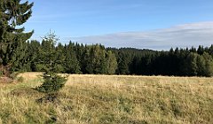 061_iP_190923_IMG_4857