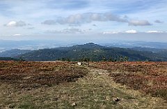 337_iP_190923_IMG_4907