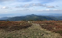 338_iP_190923_IMG_4908