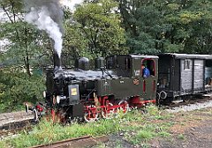 101_iP_190928_IMG_5071