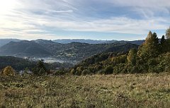 291_iP_191012_IMG_5179