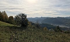 293_iP_191012_IMG_5181