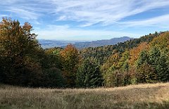 335_iP_191012_IMG_5185