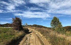 521_iP_191012_IMG_5212