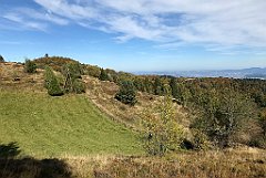 586_iP_191012_IMG_5220