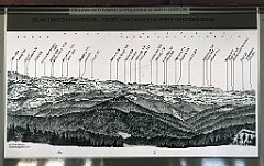 746_iP_191012_IMG_5272