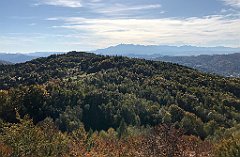 748_iP_191012_IMG_5284