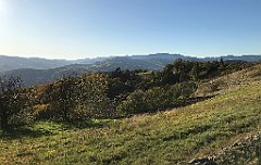 896_iP_191012_IMG_5315