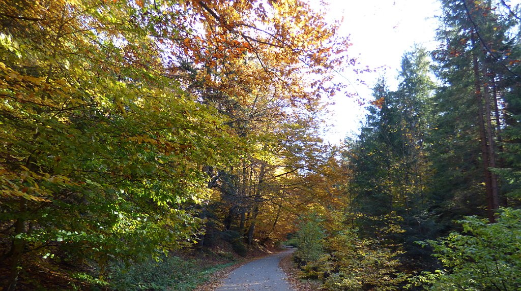 221_FZ72_P1060537.JPG