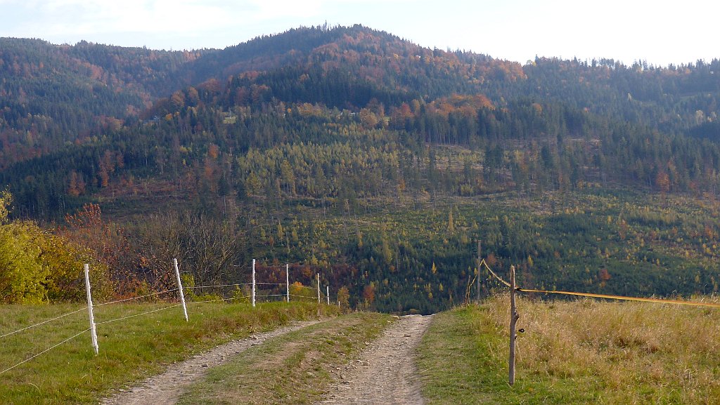 713_3D2_P1050767.JPG