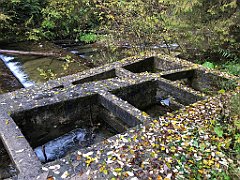 182_iP_191015_IMG_5343