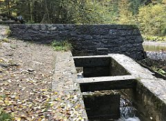 183_iP_191015_IMG_5345