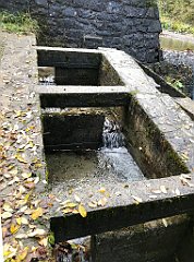 184_iP_191015_IMG_5346