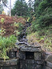 411_iP_191015_IMG_5369