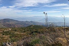 477_iP_191015_IMG_5395