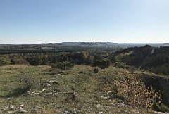 378_iP_191027_IMG_5567