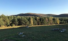 648_iP_191027_IMG_5639