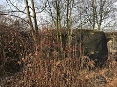 116_iP_200102_IMG_5670