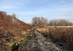 163_iP_200102_IMG_5684