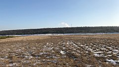 302_iP_200107_IMG_5829