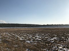 303_iP_200107_IMG_5830