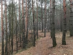 067_iP_200114_IMG_5900