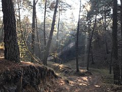 200_iP_200114_IMG_5912