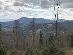 247_iP_200428_IMG_0061