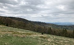 281_iP_200521_IMG_0116