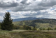 401_iP_200521_IMG_0131