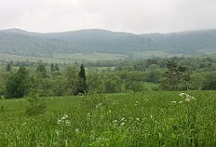 014_p20_IMG_20200617_101741