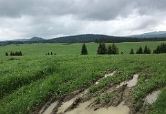 059_iP_200617_IMG_1135