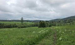 116_iP_200617_IMG_1151