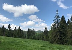 302_iP_200617_IMG_1168