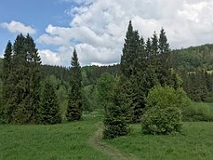 303_iP_200617_IMG_1170