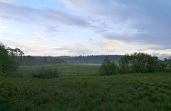 487_p20_IMG_20200617_192826