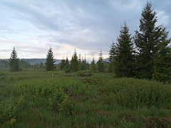 500_p20_IMG_20200617_193218