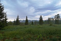 504_p20_IMG_20200617_193249