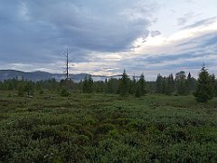 519_p20_IMG_20200617_193802