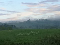 524_p20_IMG_20200617_194110