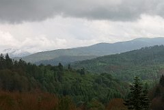 011_p20_IMG_20200618_133149