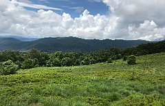 069_iP_200619_IMG_1208