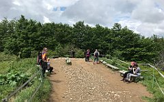 086_iP_200619_IMG_1221