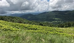 100_iP_200619_IMG_1224